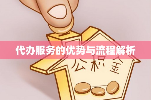 海阳代办服务的优势与流程解析